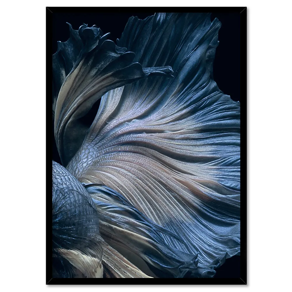 Japanese Blue Betta Fighting Fish - Art Print