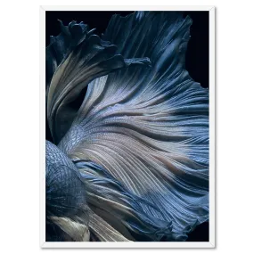 Japanese Blue Betta Fighting Fish - Art Print