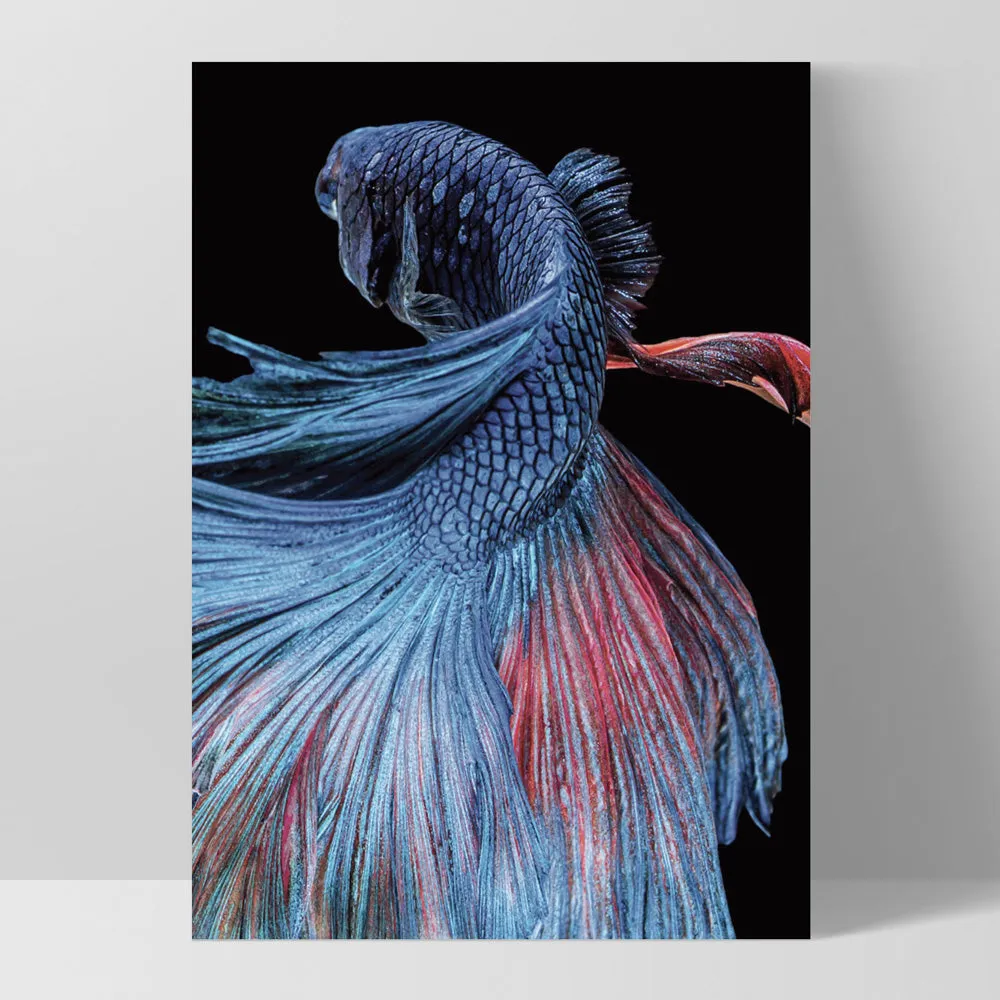 Japanese Red & Blue Betta Fighting Fish - Art Print