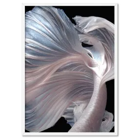 Japanese White I Betta Fighting Fish - Art Print