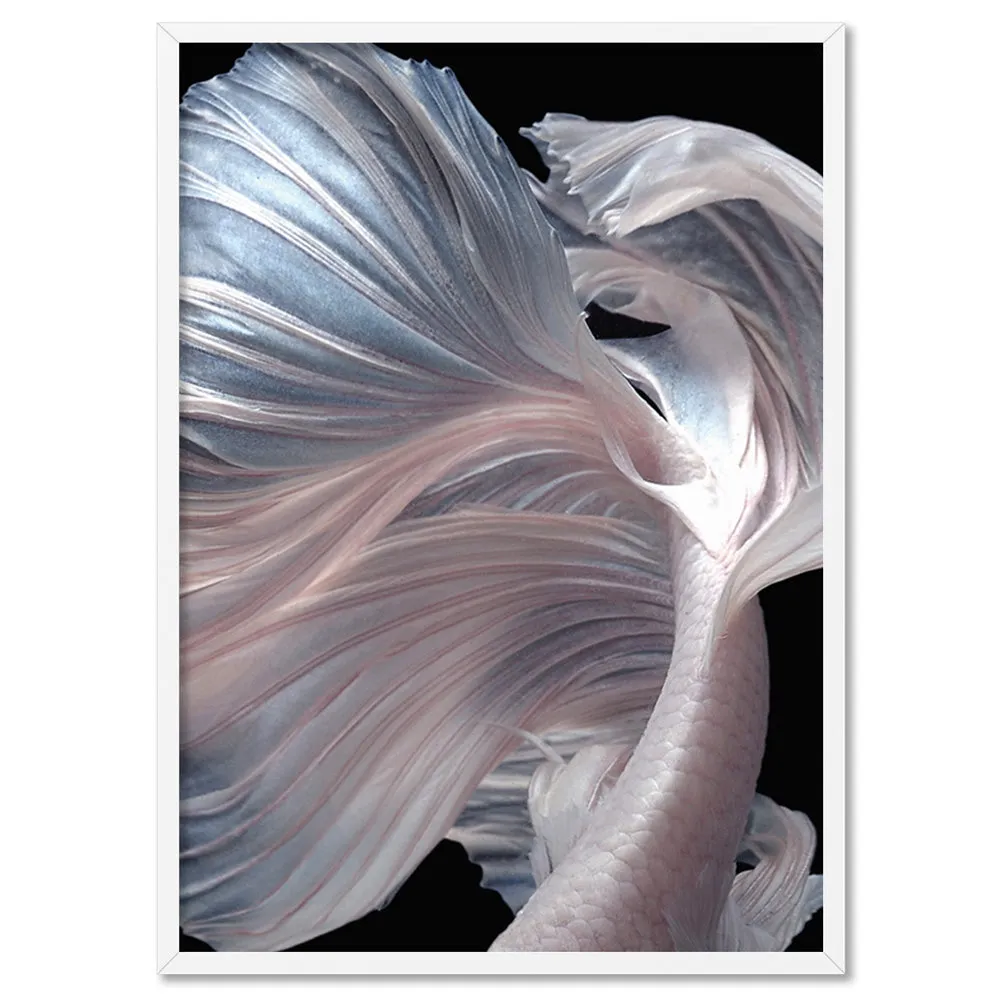 Japanese White I Betta Fighting Fish - Art Print