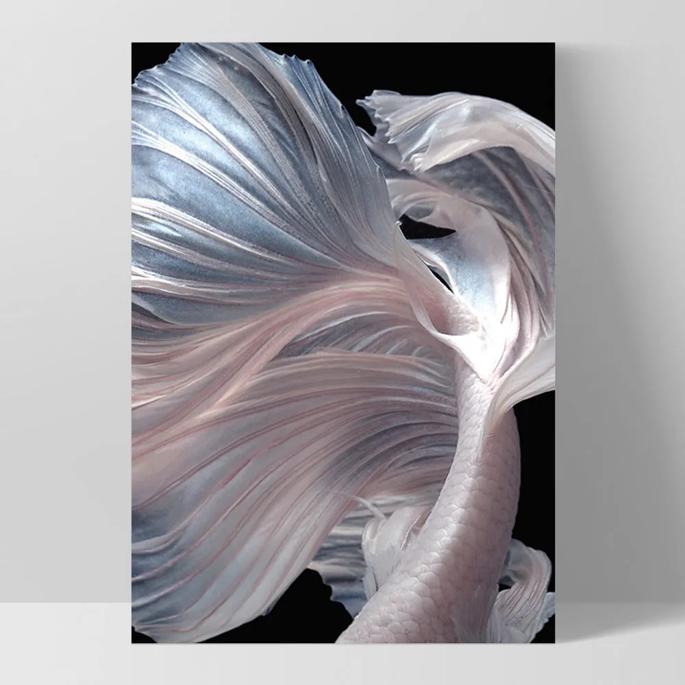 Japanese White I Betta Fighting Fish - Art Print