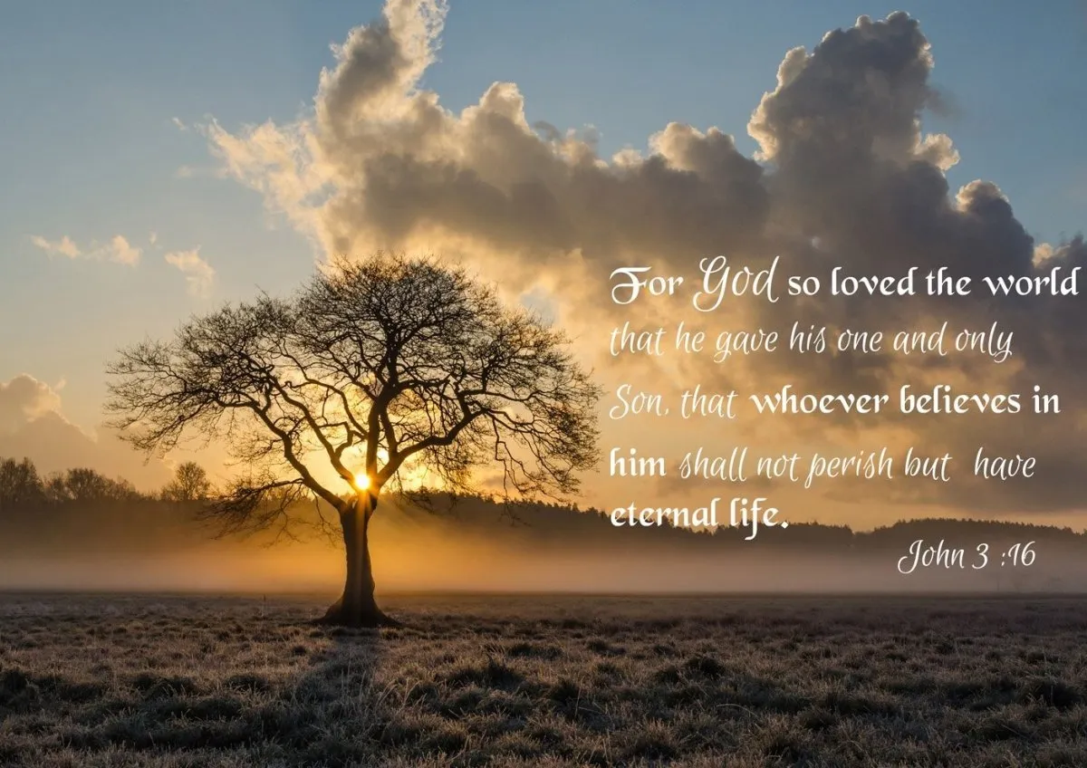 John 316 Niv #11 Bible Verse Canvas Wall Art - Christian Canvas Wall Art