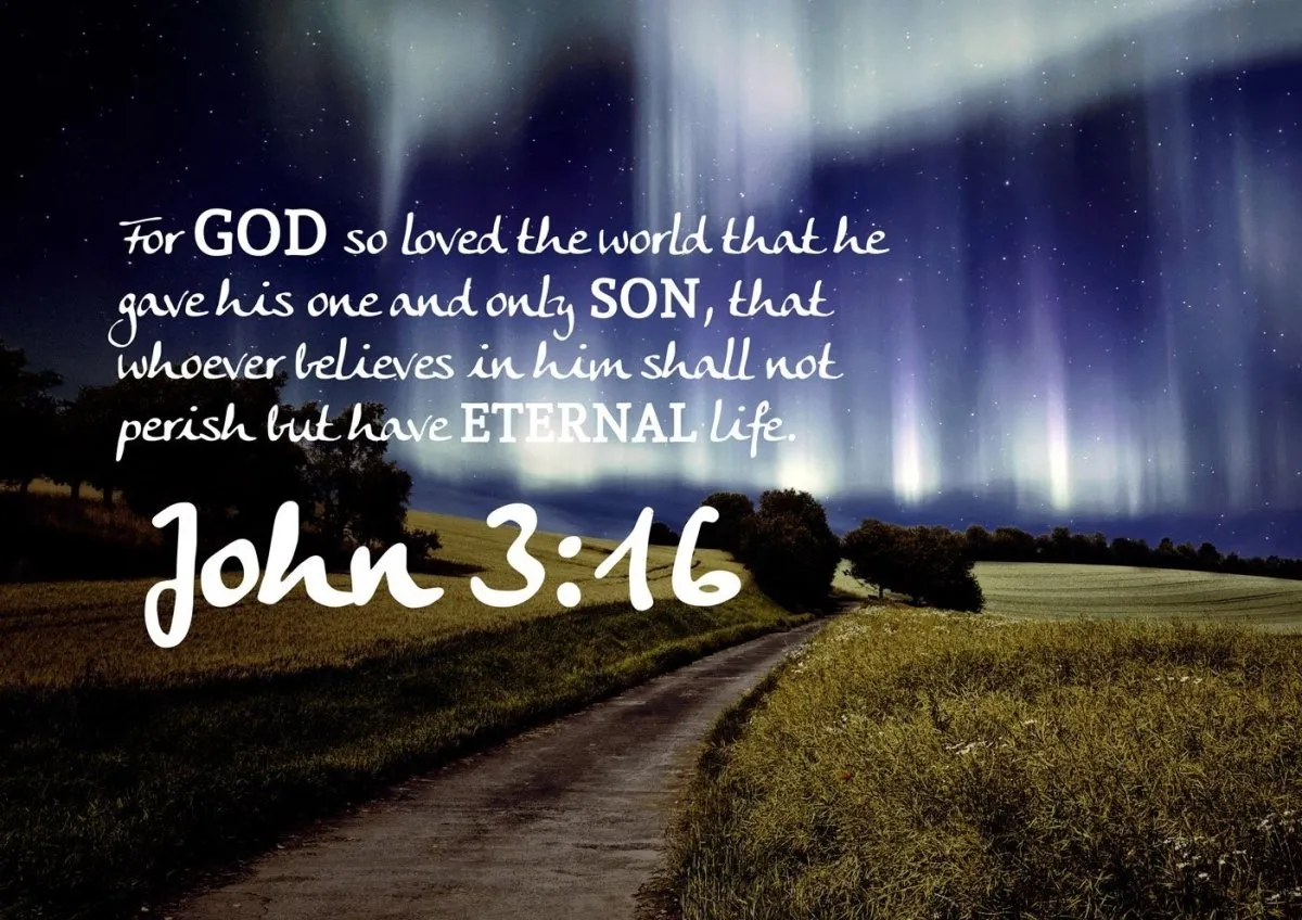 John 316 Niv #13 Bible Verse Canvas Wall Art - Christian Canvas Wall Art