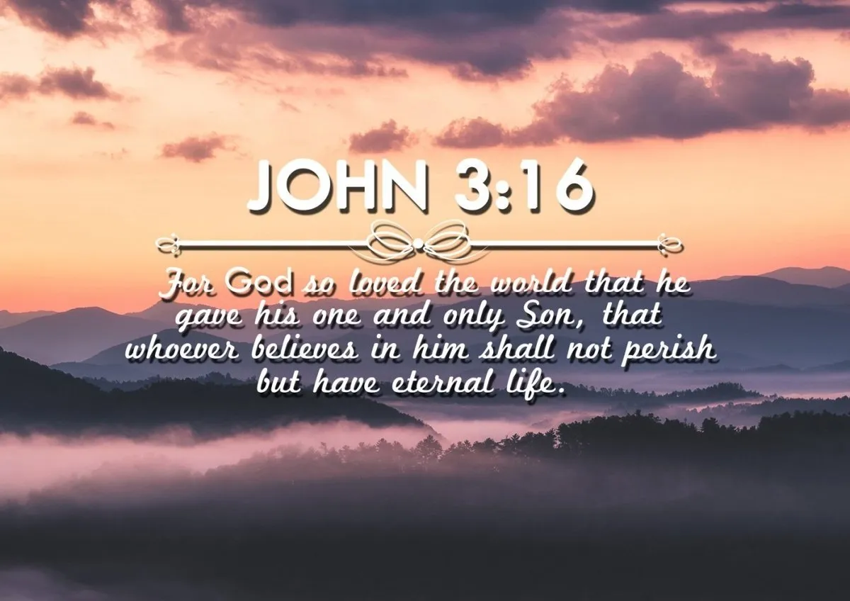 John 316 Niv #25 Bible Verse Canvas Wall Art - Christian Canvas Wall Art