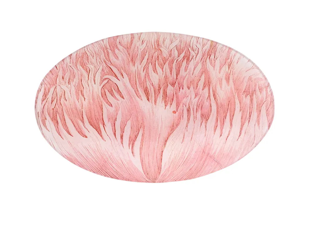 John Derian Decoupaged Oval Plate