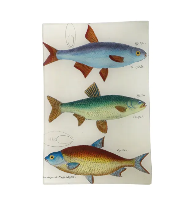 John Derian Tray, Small
