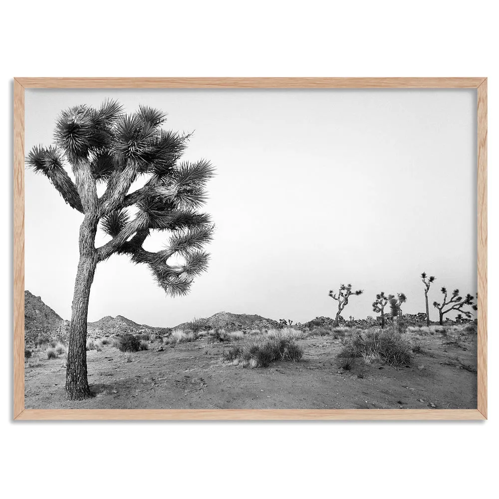 Joshua Tree Desert Landscape Black and White - Art Print