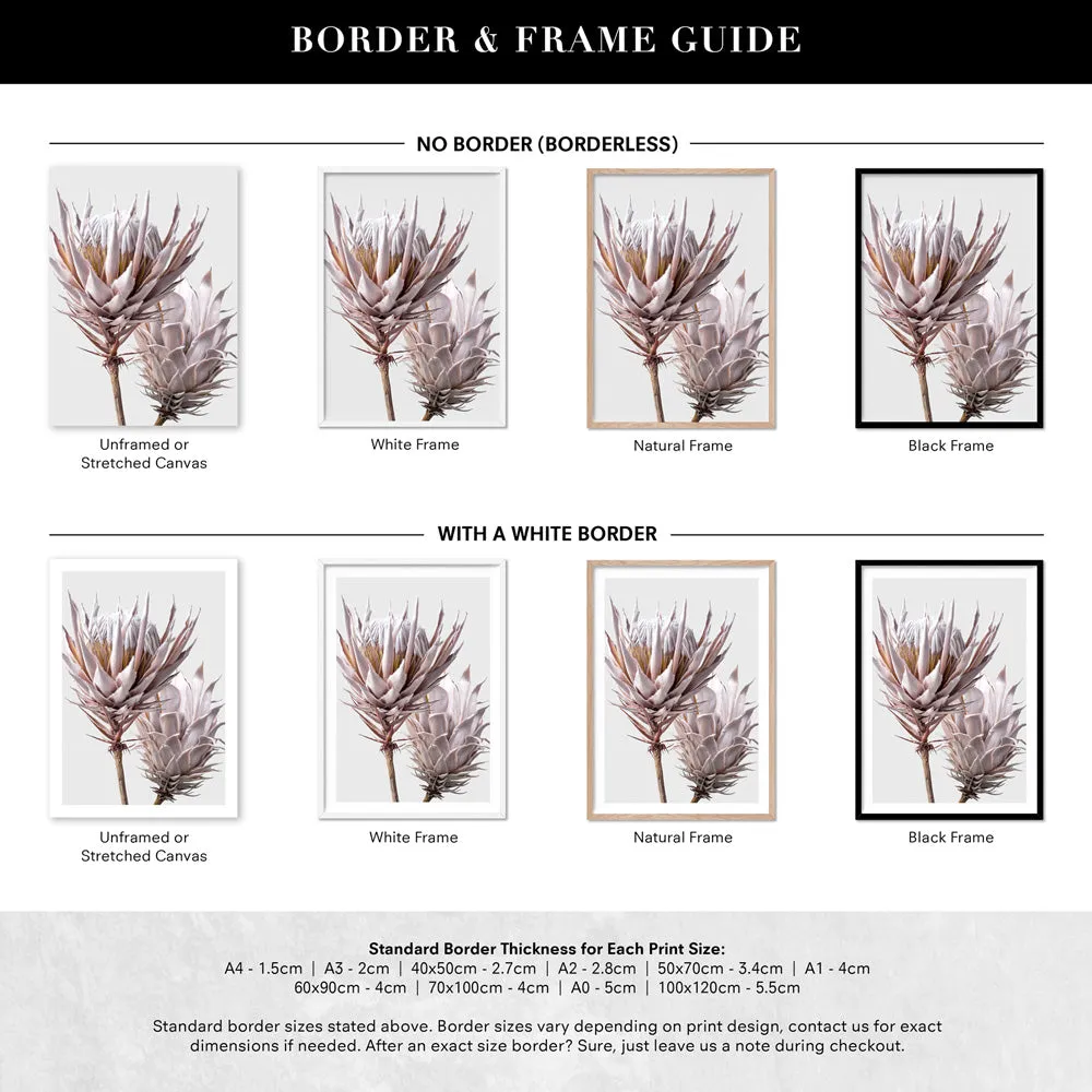 King Protea Duo in Blush - Art Print