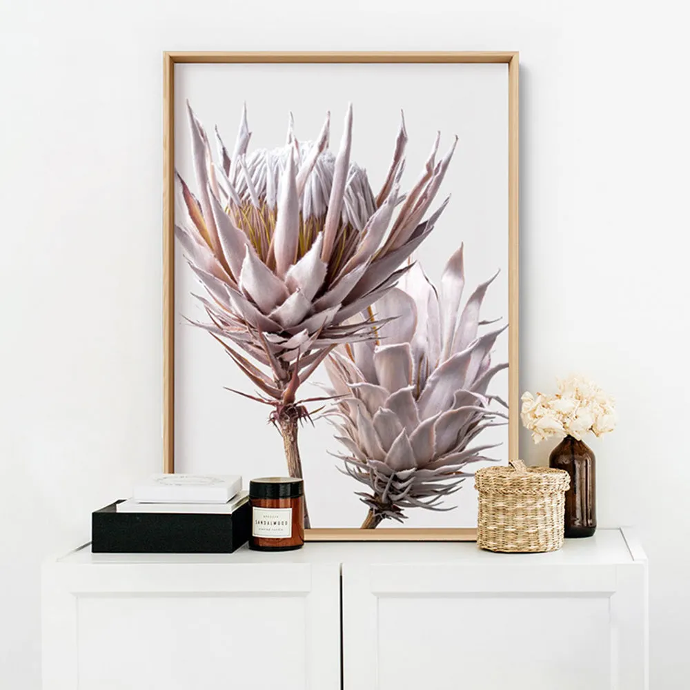 King Protea Duo in Blush - Art Print