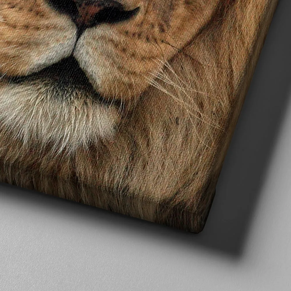 Lions Stare Joshua 19 Be Strong And Courageous Wall Art - Christian Canvas Wall Art