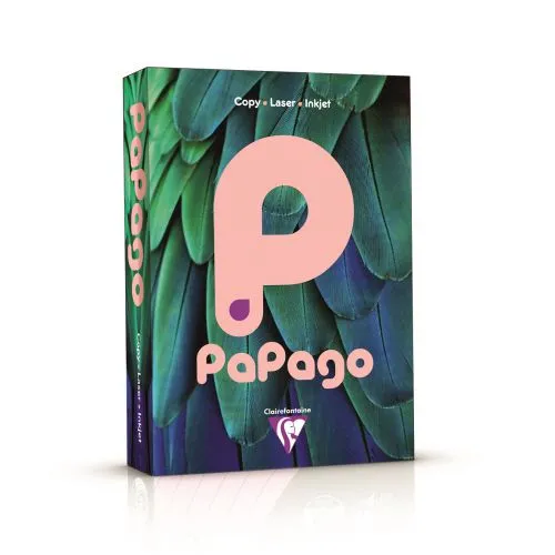 Papago Tint Pastel A3 80gsm Paper (Box 2500 Sheets)