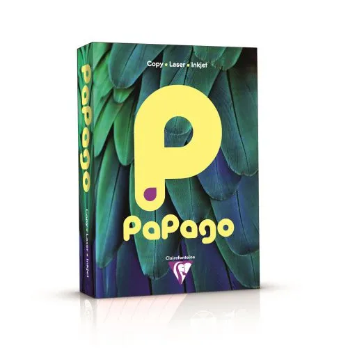 Papago Tint Pastel A3 80gsm Paper (Box 2500 Sheets)
