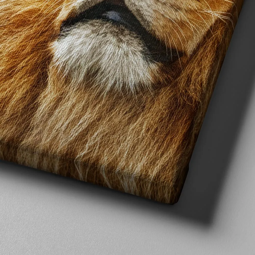Pride Lion #6 Joshua 19 Be Strong And Courageous Wall Art - Christian Canvas Wall Art