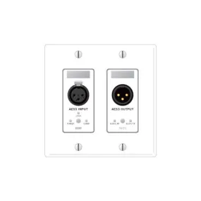 Rane RAD5 Remote Audio Device -AES3 Input/AES3 Output - White