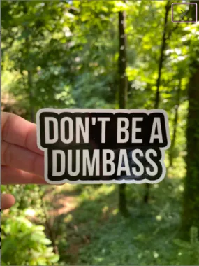 Sticker | 1H | Don't be a Dumbass | Waterproof Vinyl Sticker | White | Clear | Permanent | Removable | Window Cling | Glitter | Holographic