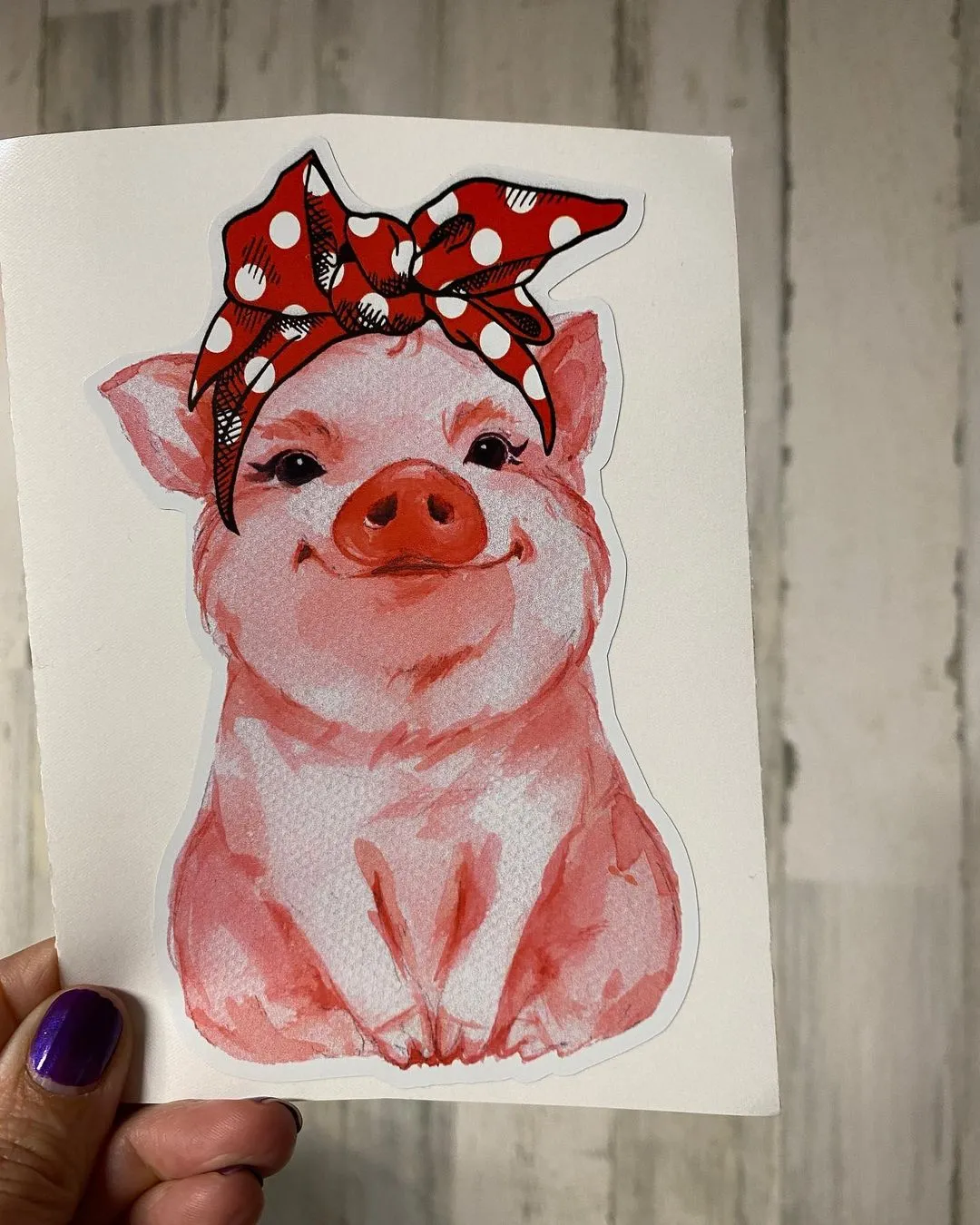 Sticker | 24L | Pink Pig with Bandana | Waterproof Vinyl Sticker | White | Clear | Permanent | Removable | Window Cling | Glitter | Holographic