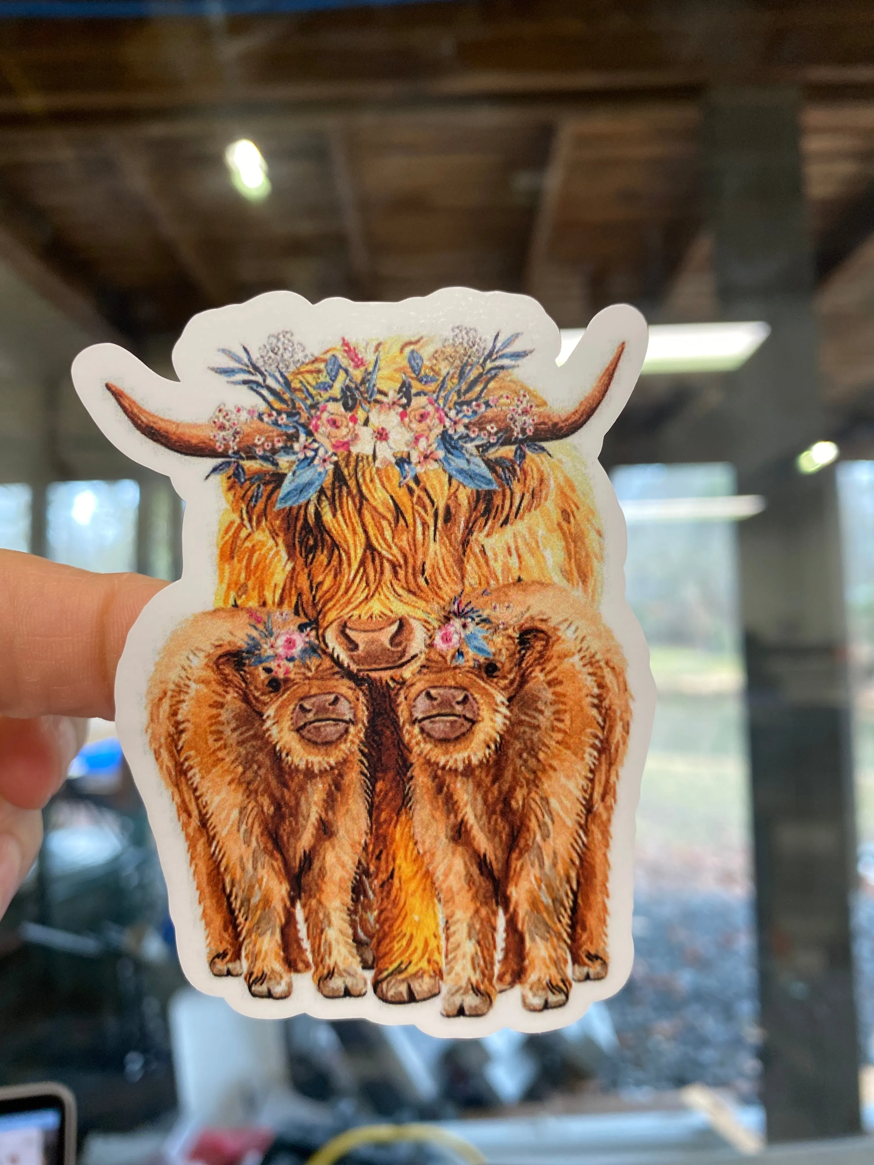 Sticker | 39M | Highland Cow with calves | Waterproof Vinyl Sticker | White | Clear | Permanent | Removable | Window Cling | Glitter | Holographic