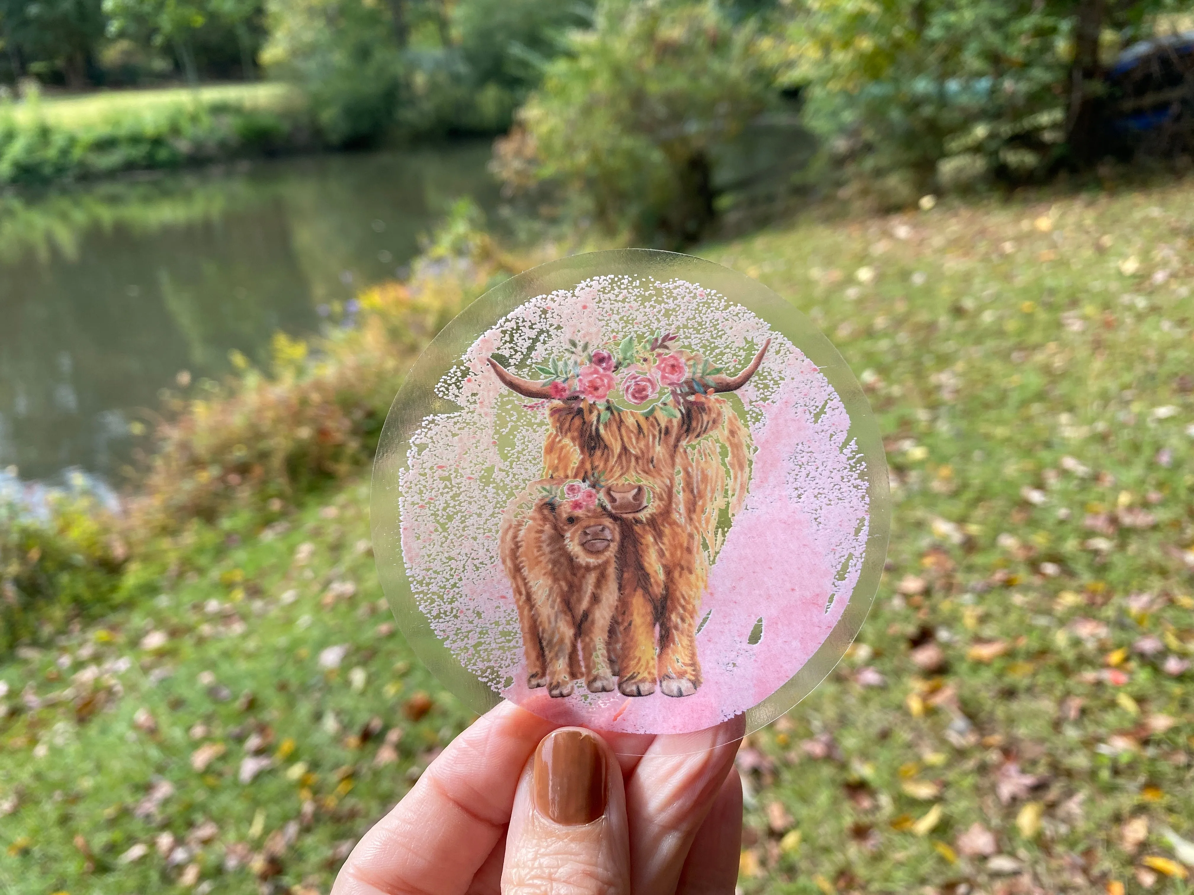 Sticker | 39N | Highland Cow with Calf | Waterproof Vinyl Sticker | White | Clear | Permanent | Removable | Window Cling | Glitter | Holographic