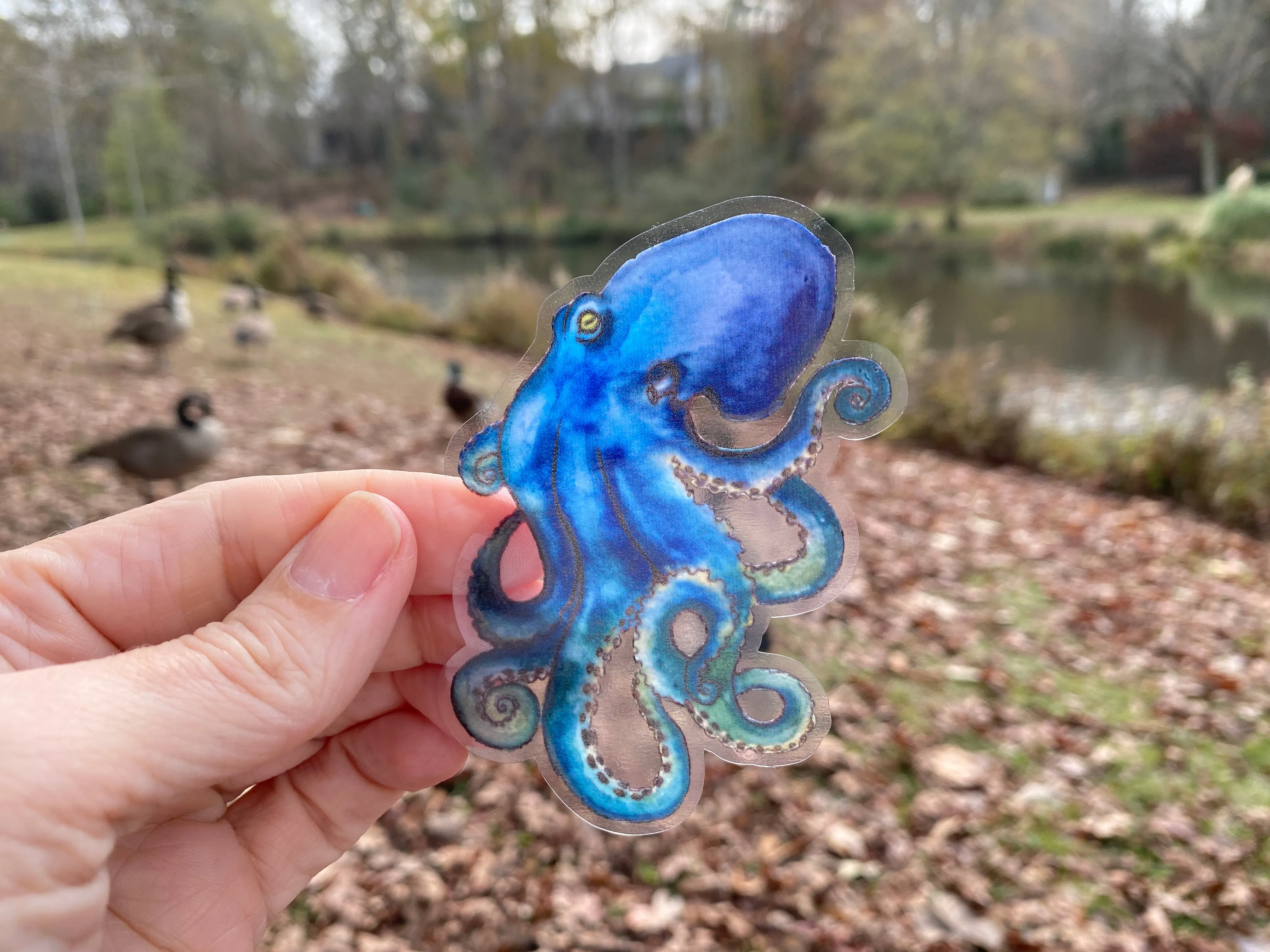 Sticker | 58B | Octopus | Waterproof Vinyl Sticker | White | Clear | Permanent | Removable | Window Cling | Glitter | Holographic