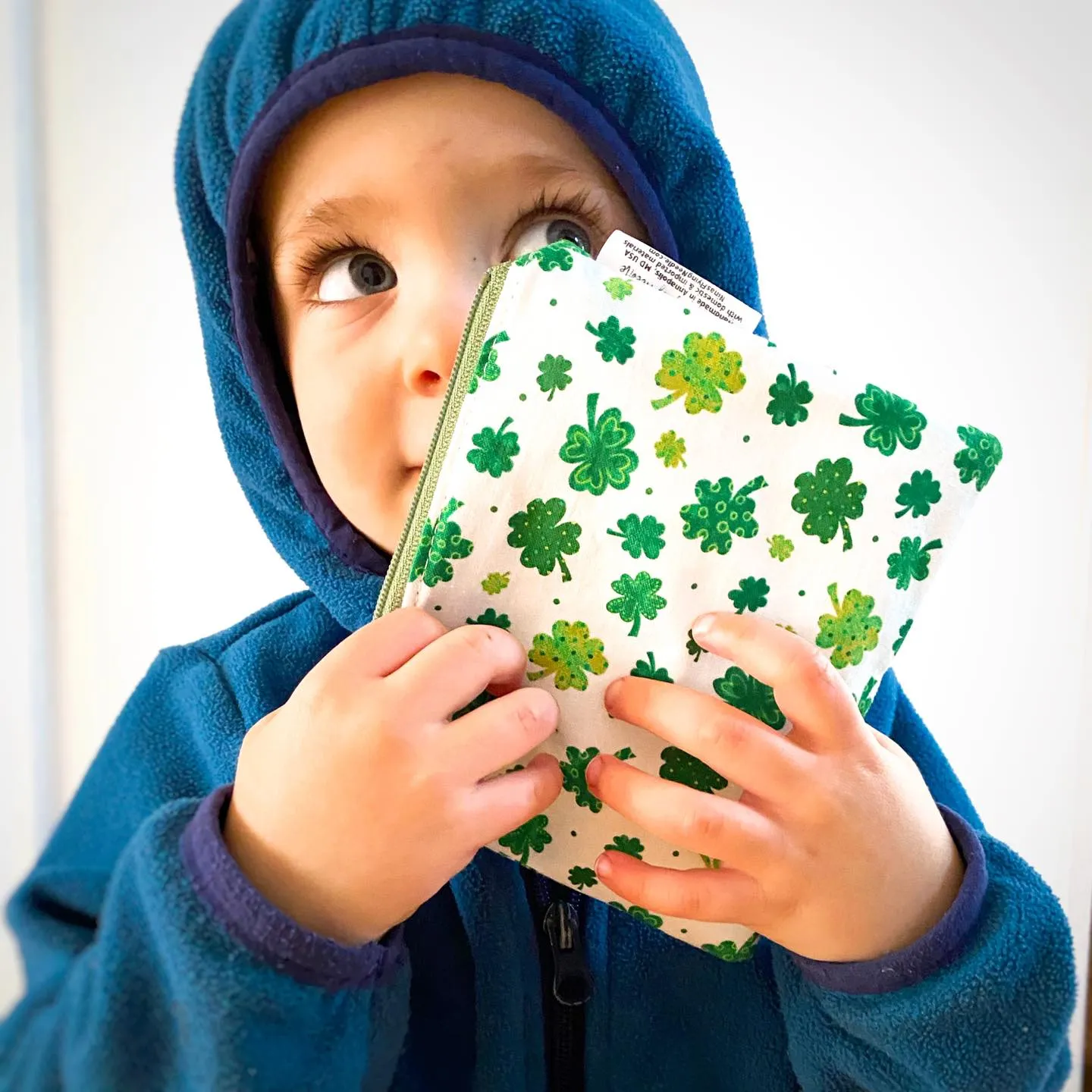 Toddler Sized Reusable Zippered Bag Christmas Lights