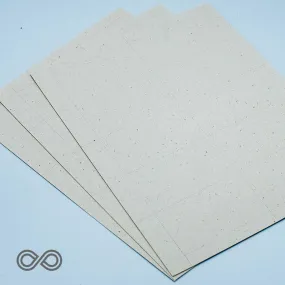 Tree-free Perforated Hemp Business Cards (10 Sheets/100 Cards)