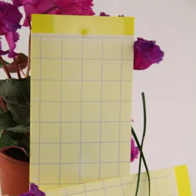 Yellow Sticky Fly Traps Pack of 7