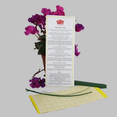 Yellow Sticky Fly Traps Pack of 7